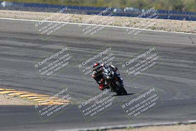 media/Apr-14-2024-SoCal Trackdays (Sun) [[70f97d3d4f]]/5-Bowl Exit (1020am)/